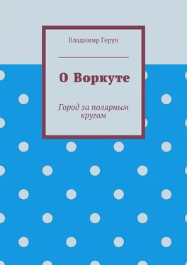 Владимир Герун О Воркуте. Город за полярным кругом обложка книги