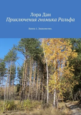 Лора Дан Приключения гномика Ральфа. Книга 1. Знакомство обложка книги