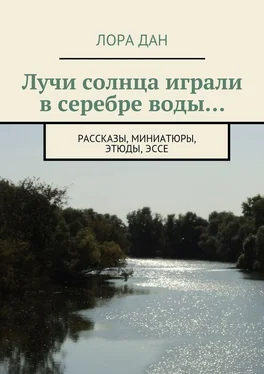 Лора Дан Лучи солнца играли в серебре воды… рассказы, миниатюры, этюды, эссе обложка книги