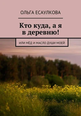 Ольга Есаулкова Кто куда, а я в деревню! или Мёд и масло души моей обложка книги