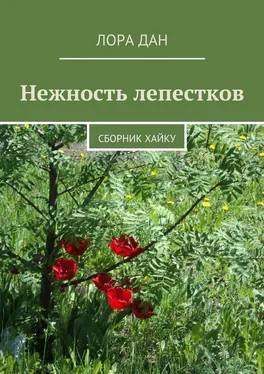 Лора Дан Нежность лепестков. сборник хайку обложка книги