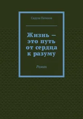 Садула Патахов - Жизнь – это путь от сердца к разуму. Роман