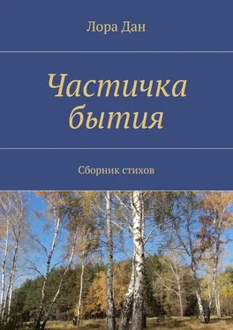 Лора Дан Частичка бытия. Сборник стихов обложка книги