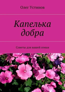 Олег Устинов Капелька добра. Советы для вашей семьи обложка книги