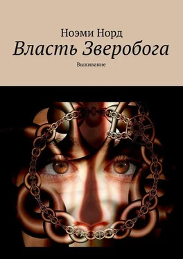 Ноэми Норд Власть Зверобога. Выживание обложка книги