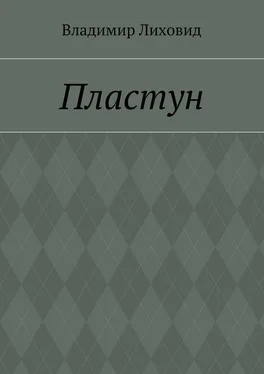 Владимир Лиховид Пластун обложка книги