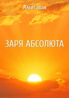 Амиташи Заря Абсолюта обложка книги