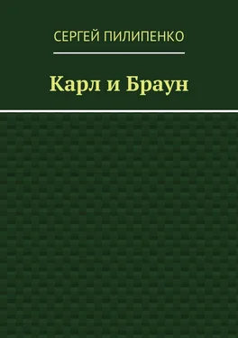 Сергей Пилипенко Карл и Браун обложка книги