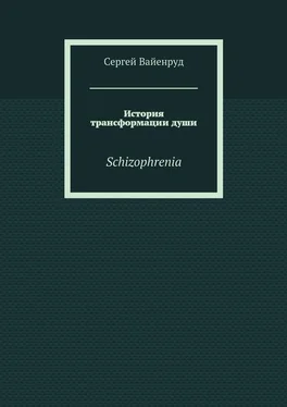 Сергей Вайенруд История трансформации души. Schizophrenia обложка книги