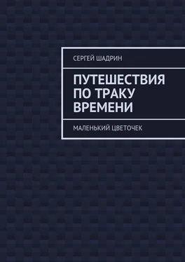 Сергей Шадрин Путешествия по траку времени. Маленький цветочек обложка книги