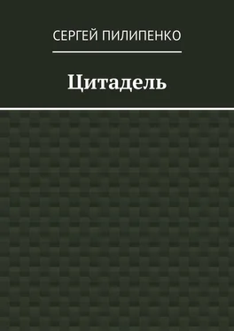 Сергей Пилипенко Цитадель обложка книги