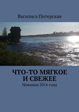 Василиса Питерская Что-то мягкое и свежее. Новинки 2016 года обложка книги