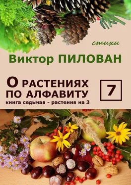 Виктор Пилован О растениях по алфавиту. Книга седьмая. Растения на З обложка книги