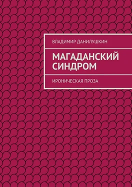 Владимир Данилушкин Магаданский синдром. Ироническая проза обложка книги