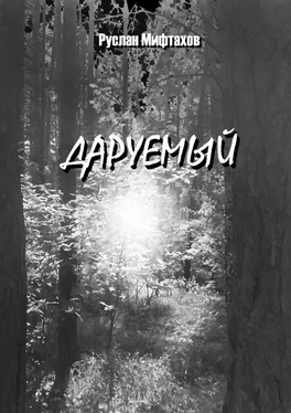 Руслан Мифтахов Даруемый обложка книги