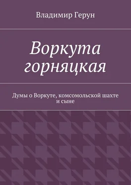 Владимир Герун Воркута горняцкая. Думы о Воркуте, комсомольской шахте и сыне обложка книги