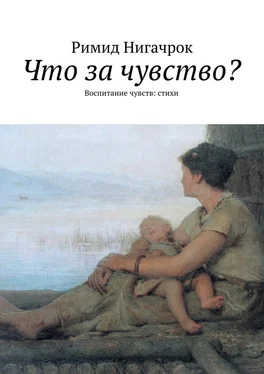 Римид Нигачрок Что за чувство? Воспитание чувств: стихи обложка книги