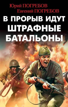 Евгений Погребов В прорыв идут штрафные батальоны обложка книги