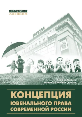 Коллектив авторов Концепция ювенального права современной России обложка книги