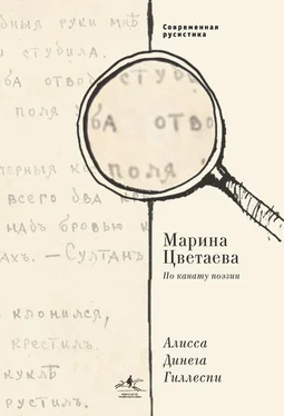 Алиса Динега Гиллеспи Марина Цветаева. По канату поэзии обложка книги