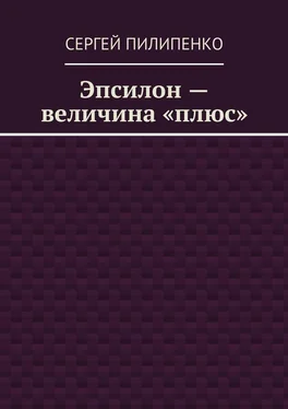 Сергей Пилипенко Эпсилон – величина «плюс» обложка книги