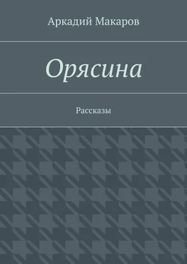 Аркадий Макаров Орясина. Рассказы обложка книги