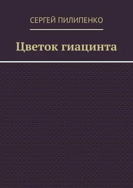 Сергей Пилипенко Цветок гиацинта обложка книги
