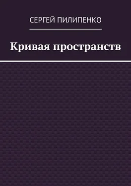 Сергей Пилипенко Кривая пространств обложка книги