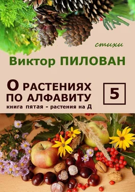 Виктор Пилован О растениях по алфавиту. Книга пятая. Растения на Д обложка книги