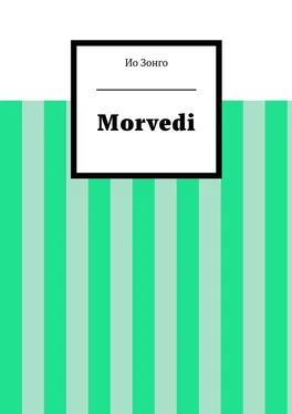 Ио Зонго Morvedi обложка книги