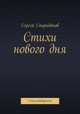 Сергей Спиридонов Стихи нового дня. Стихотворения обложка книги