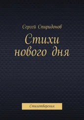 Сергей Спиридонов - Стихи нового дня. Стихотворения