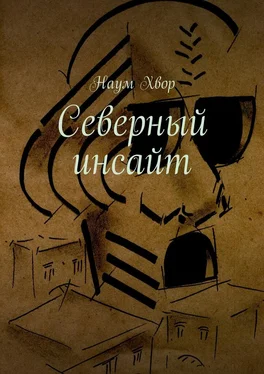 Наум Хвор Северный инсайт обложка книги