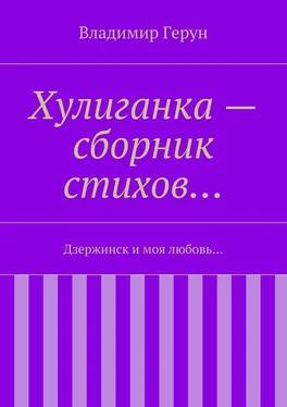 Владимир Герун Хулиганка – сборник стихов… Дзержинск и моя любовь… обложка книги