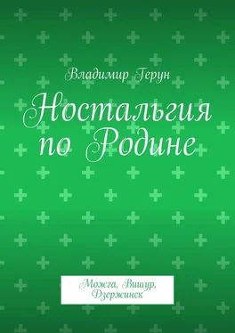 Владимир Герун Ностальгия по Родине. Можга, Вишур, Дзержинск обложка книги