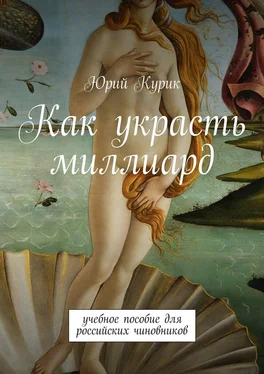 Юрий Курик Как украсть миллиард. учебное пособие для российских чиновников обложка книги