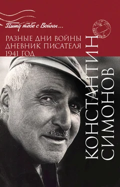 Константин Симонов Разные дни войны. Дневник писателя. 1941 год обложка книги