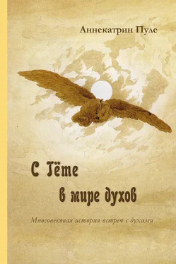 Аннекатрин Пуле C Гёте в мире духов обложка книги