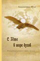 Аннекатрин Пуле - C Гёте в мире духов