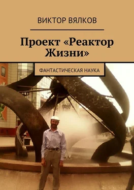 Виктор Вялков Проект «Реактор Жизни». Фантастическая наука обложка книги