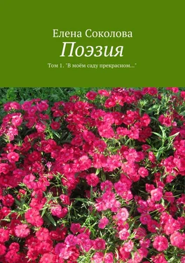 Елена Соколова Поэзия. Том 1. "В моём саду прекрасном…" обложка книги