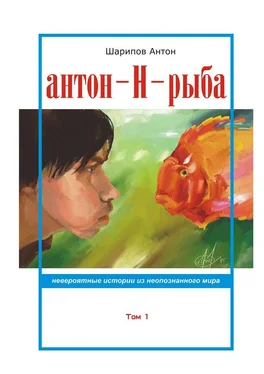 Антон Шарипов Антон-Н-рыба. Невероятные истории из неопознанного мира. Том 1 обложка книги