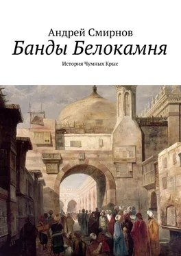 Андрей Смирнов Банды Белокамня. История Чумных Крыс обложка книги