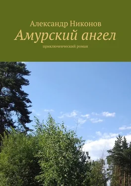 Александр Никонов Амурский ангел. приключенческий роман обложка книги