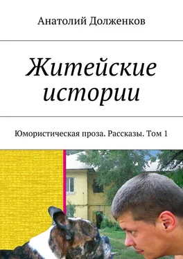 Анатолий Долженков Житейские истории. Юмористическая проза. Рассказы. Том 1 обложка книги