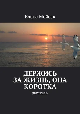 Елена Мейсак Держись за жизнь, она коротка. Рассказы обложка книги