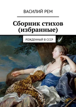 Василий РЕМ Сборник стихов (избранные). Рожденный в СССР обложка книги