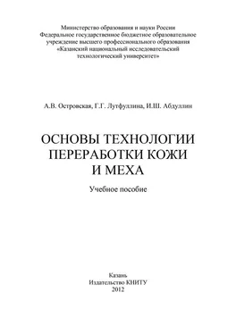 И. Абдуллин Основы технологии переработки кожи и меха обложка книги