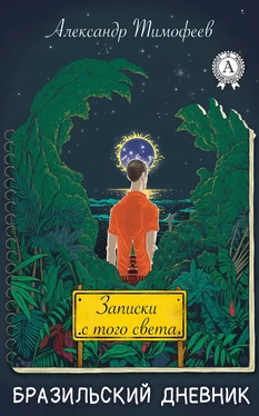 Александр Тимофеев Записки с того света (бразильский дневник) обложка книги