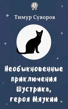 Тимур Суворов Необыкновенные приключения Шустрика, героя Мяукии обложка книги